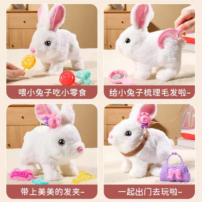 Bunny Rabbit Toy with Walking & Sound, Available in 4 Colors